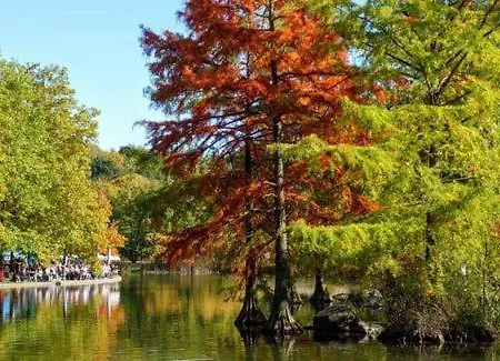 In Der Center Of 아파트 뮌헨