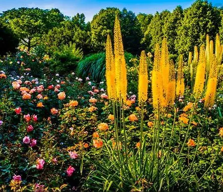 In Der Center Of 아파트 *